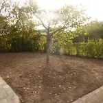 Sur Pompidou - 7 Neufs Societe Selogerametz Com