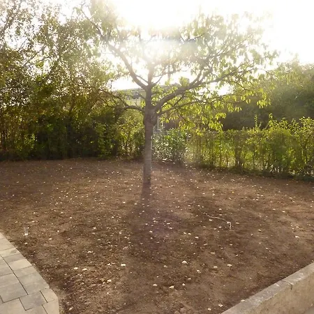 Sur Pompidou - 7 Neufs Societe Selogerametz Com