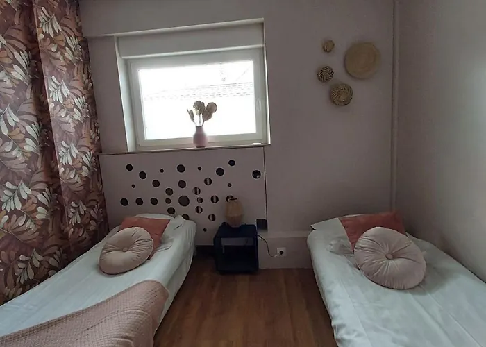 Sur Pompidou - 7 Neufs Societe Selogerametz Com アパート メス