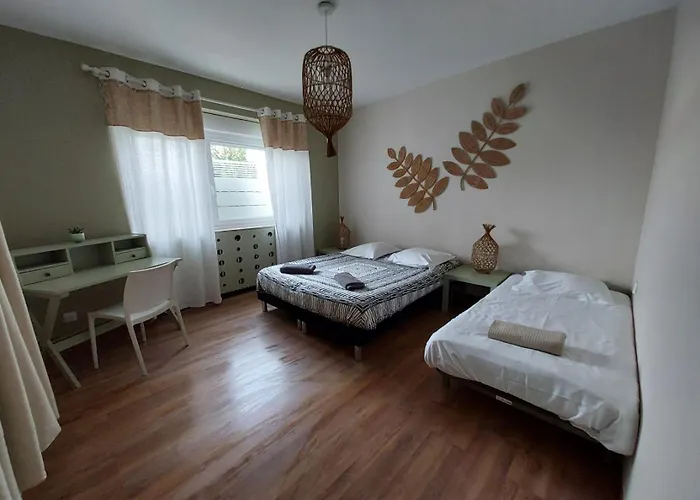 Sur Pompidou - 7 Neufs Societe Selogerametz Com 메스