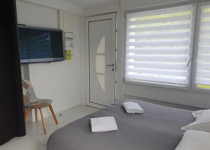 Sur Pompidou - 7 Neufs Societe Selogerametz Com メス